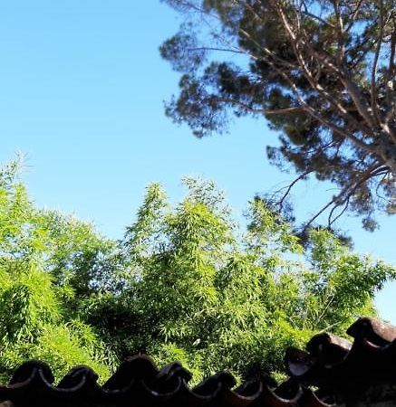 Bamboo Apartman Portoroz Luaran gambar