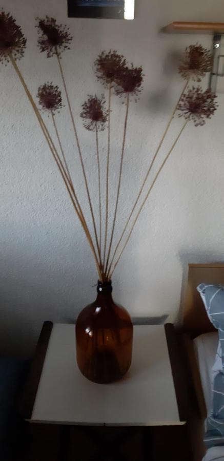 Bamboo Apartman Portoroz Luaran gambar